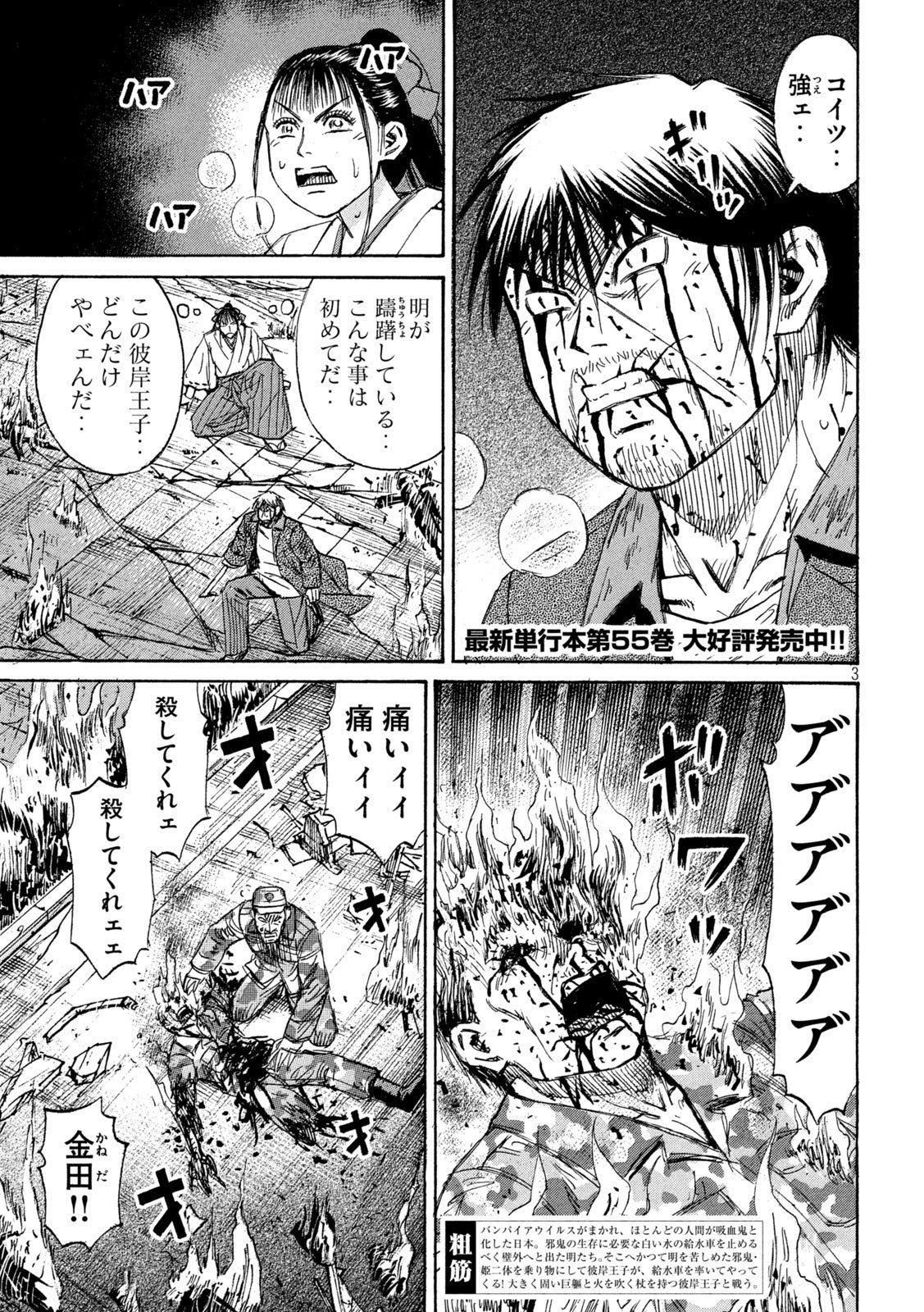Higanjima - 48 Nichigo... Chapter 494 3ページ