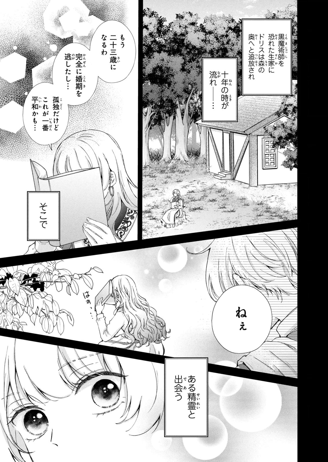 Konyakusha ni Wasurerareta Watashi Ringoku no Koutaishi Denka to Gisou Kon'yaku Suru Koto ni Narimashita Chapter 19 11ページ