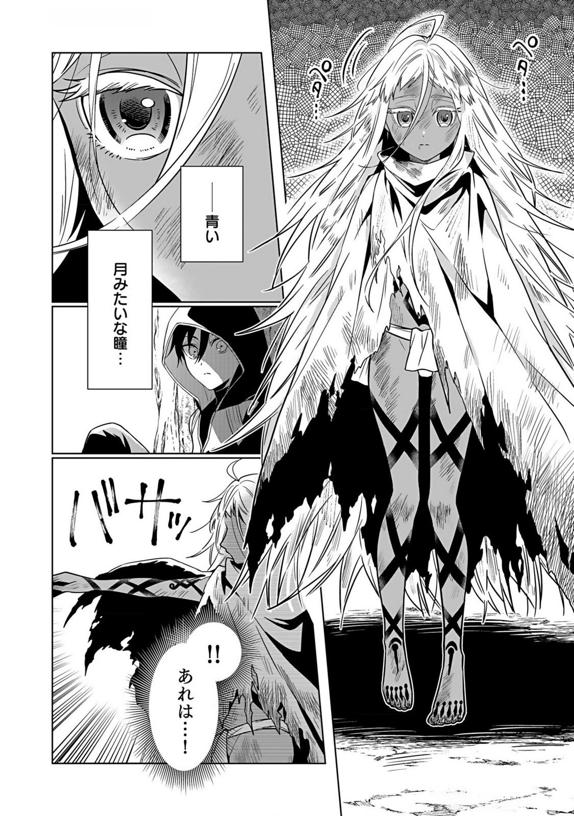 Yami Zokusei Dakedo Kyakkou wo Abite mo Ii desu ka - Tsuihousareta Shounen Asashin wa Wakeari Yami Bishoujo-tachi to Shin no Yuusha ni Nariagaru Chapter 1 22ページ
