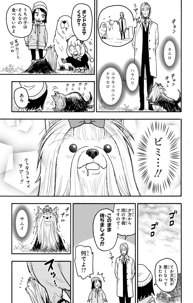 Spy x Family Chapter 140.5 4ページ