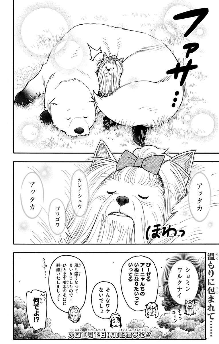 Spy x Family Chapter 140.5 5ページ