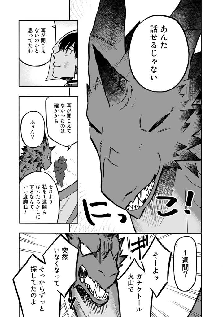 Tensei Ryuuki no Eiyuutan ~Shumi Zenfuri no Soubi to Shokugyou desu ga, Isekai de Densetsu no Ryuu Kishi Hajimemashita~ Chapter 1 29ページ