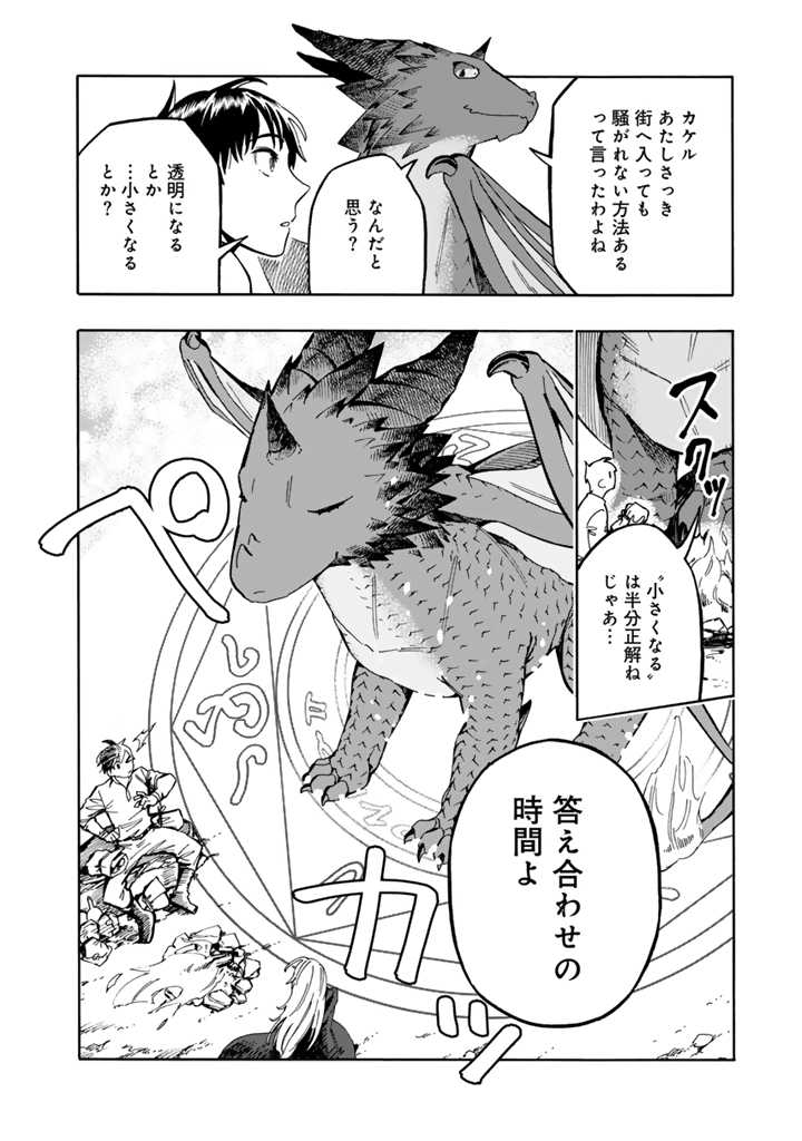 Tensei Ryuuki no Eiyuutan ~Shumi Zenfuri no Soubi to Shokugyou desu ga, Isekai de Densetsu no Ryuu Kishi Hajimemashita~ Chapter 3.2 15ページ