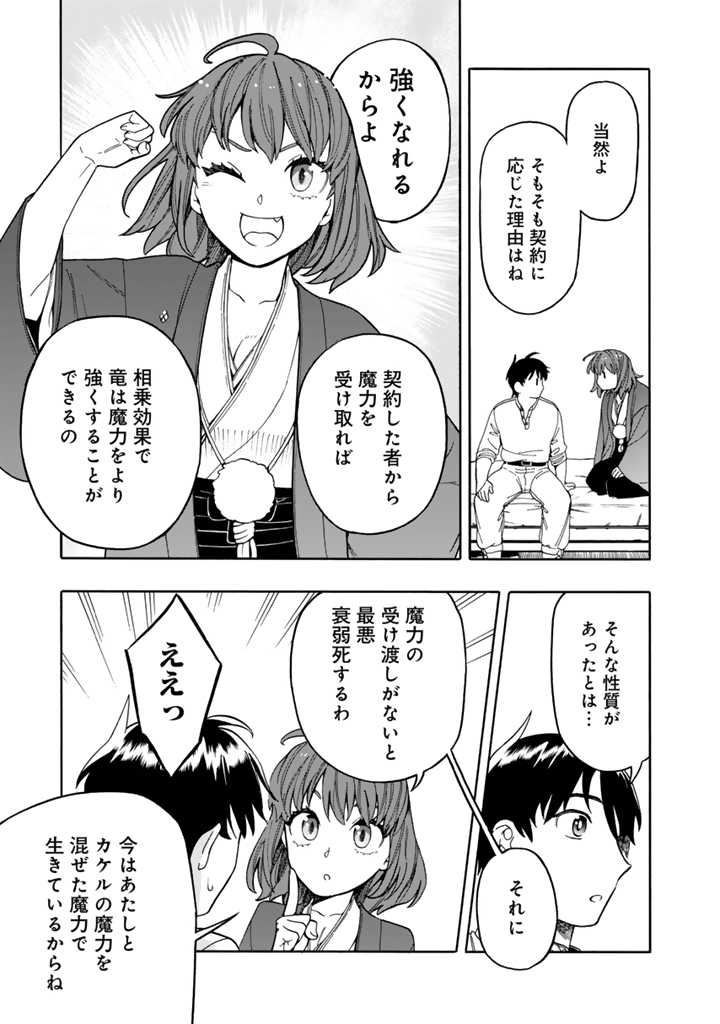 Tensei Ryuuki no Eiyuutan ~Shumi Zenfuri no Soubi to Shokugyou desu ga, Isekai de Densetsu no Ryuu Kishi Hajimemashita~ Chapter 7.1 5ページ