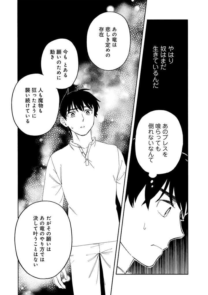 Tensei Ryuuki no Eiyuutan ~Shumi Zenfuri no Soubi to Shokugyou desu ga, Isekai de Densetsu no Ryuu Kishi Hajimemashita~ Chapter 7.2 11ページ