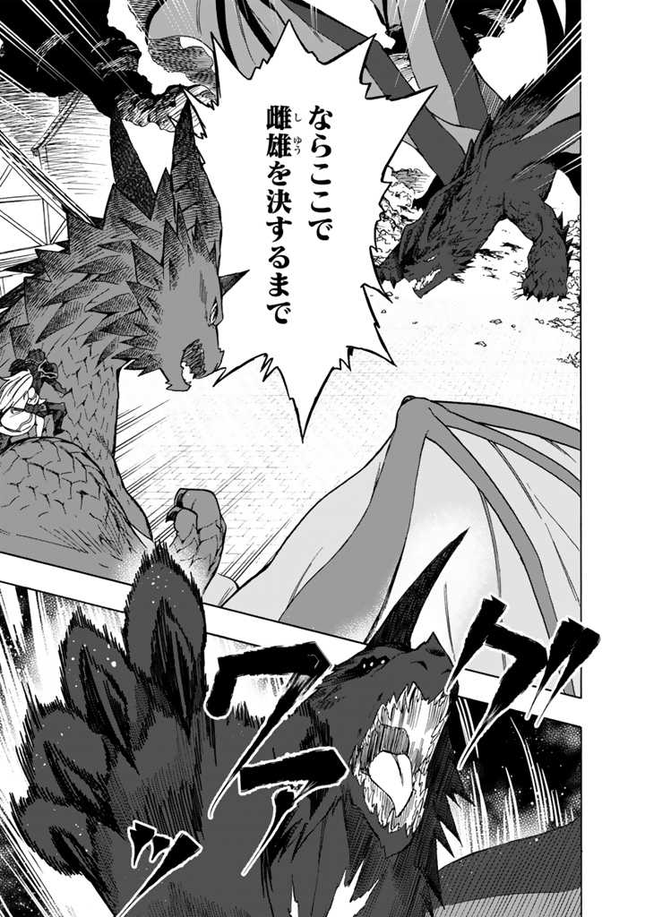Tensei Ryuuki no Eiyuutan ~Shumi Zenfuri no Soubi to Shokugyou desu ga, Isekai de Densetsu no Ryuu Kishi Hajimemashita~ Chapter 11.2 9ページ