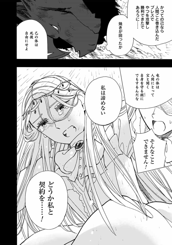Tensei Ryuuki no Eiyuutan ~Shumi Zenfuri no Soubi to Shokugyou desu ga, Isekai de Densetsu no Ryuu Kishi Hajimemashita~ Chapter 13.2 5ページ
