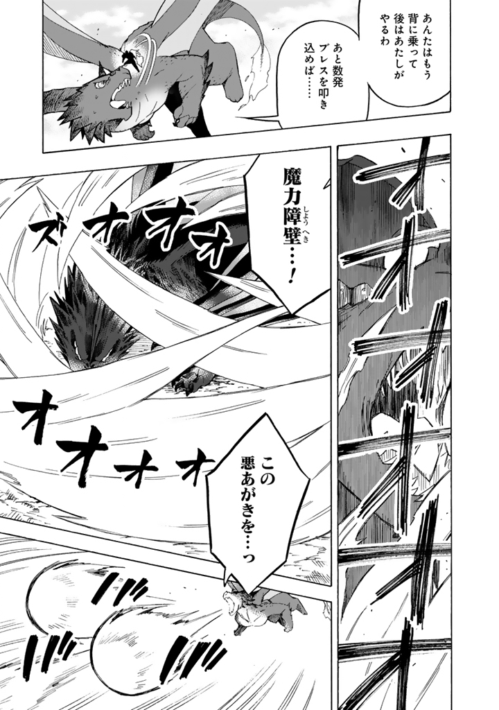 Tensei Ryuuki no Eiyuutan ~Shumi Zenfuri no Soubi to Shokugyou desu ga, Isekai de Densetsu no Ryuu Kishi Hajimemashita~ Chapter 14.1 3ページ