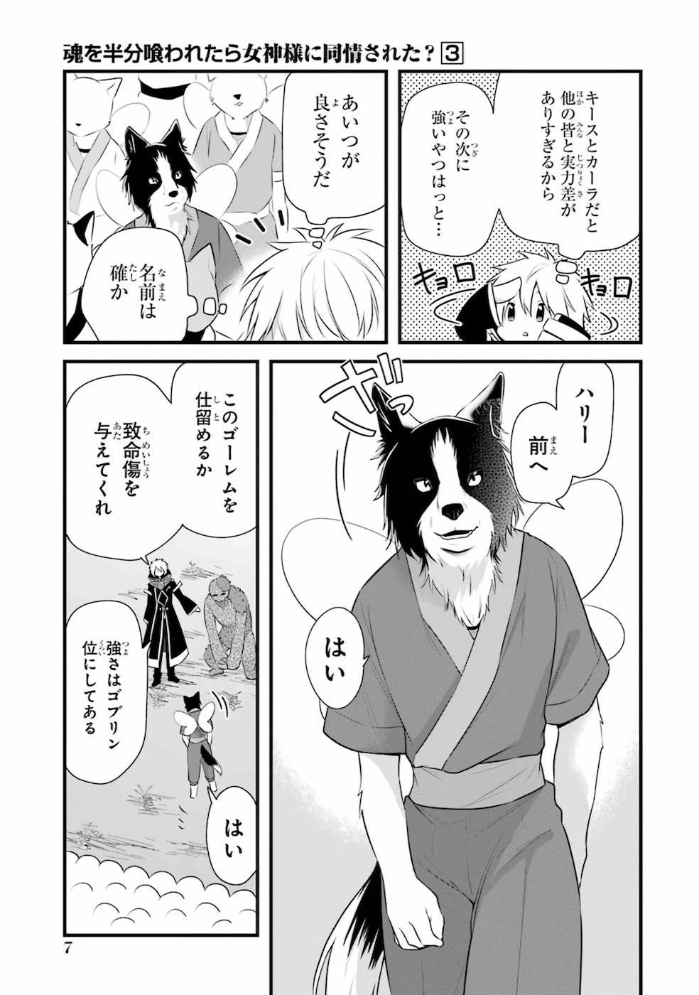 Tamashii o Hanbun Kuwaretara Megami-sama ni Doujou Sareta? Chapter 12 5ページ