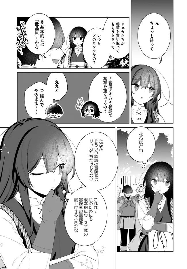 Kusuri Uri no Seijo - Enzai de Tsuihousareta Yakushi wa, Henkyou no Ji de Shiawase wo Tsukamu Chapter 15.2 17ページ