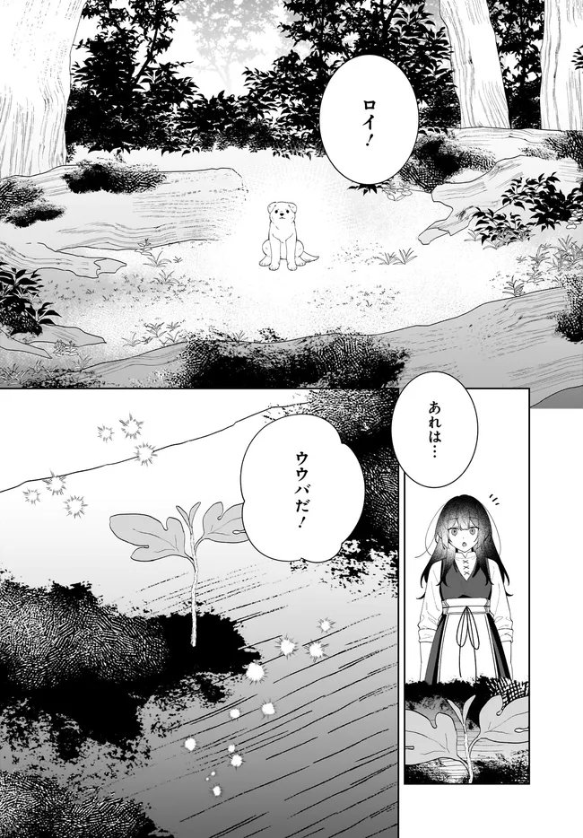 Kusuri Uri no Seijo - Enzai de Tsuihousareta Yakushi wa, Henkyou no Ji de Shiawase wo Tsukamu Chapter 15.2 20ページ