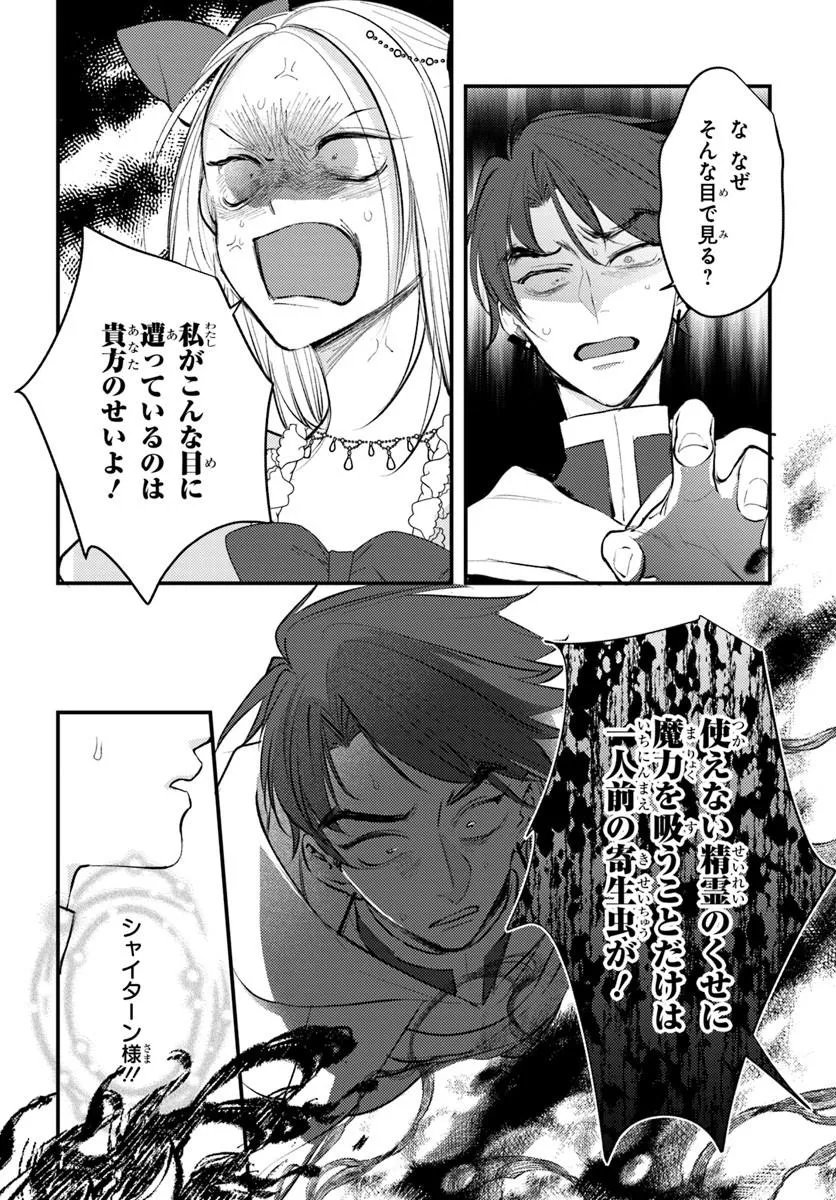 Seirei ni "Omae wa Shujin ni Fusawashikunai, Keiyaku Haki shite kure!' to Iwareta node, Hoshigatteiru Imouto ni Yuzurimasu Chapter 12.2 5ページ