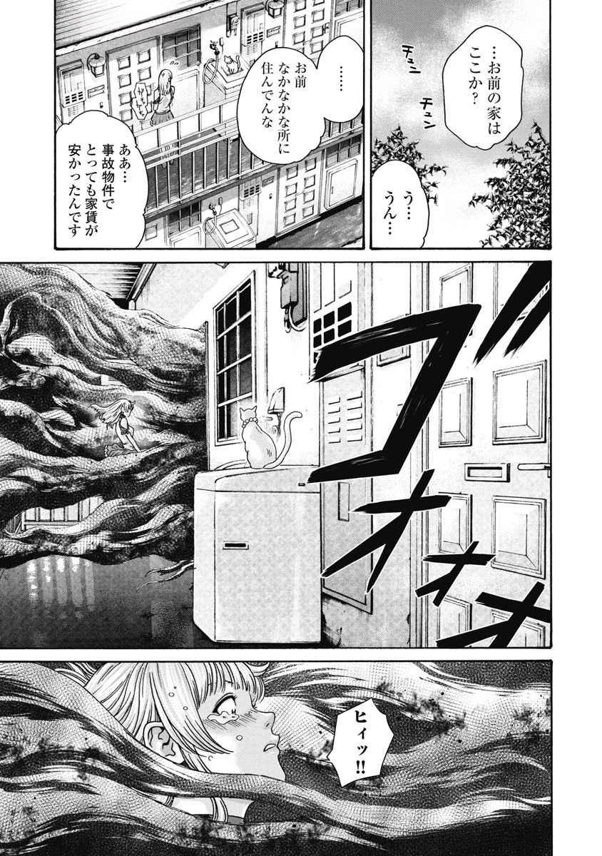 Teraumare Neko no Tama-san Chapter 2 3ページ