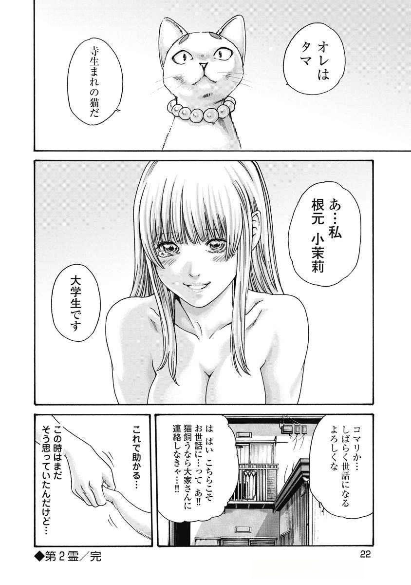 Teraumare Neko no Tama-san Chapter 2 8ページ