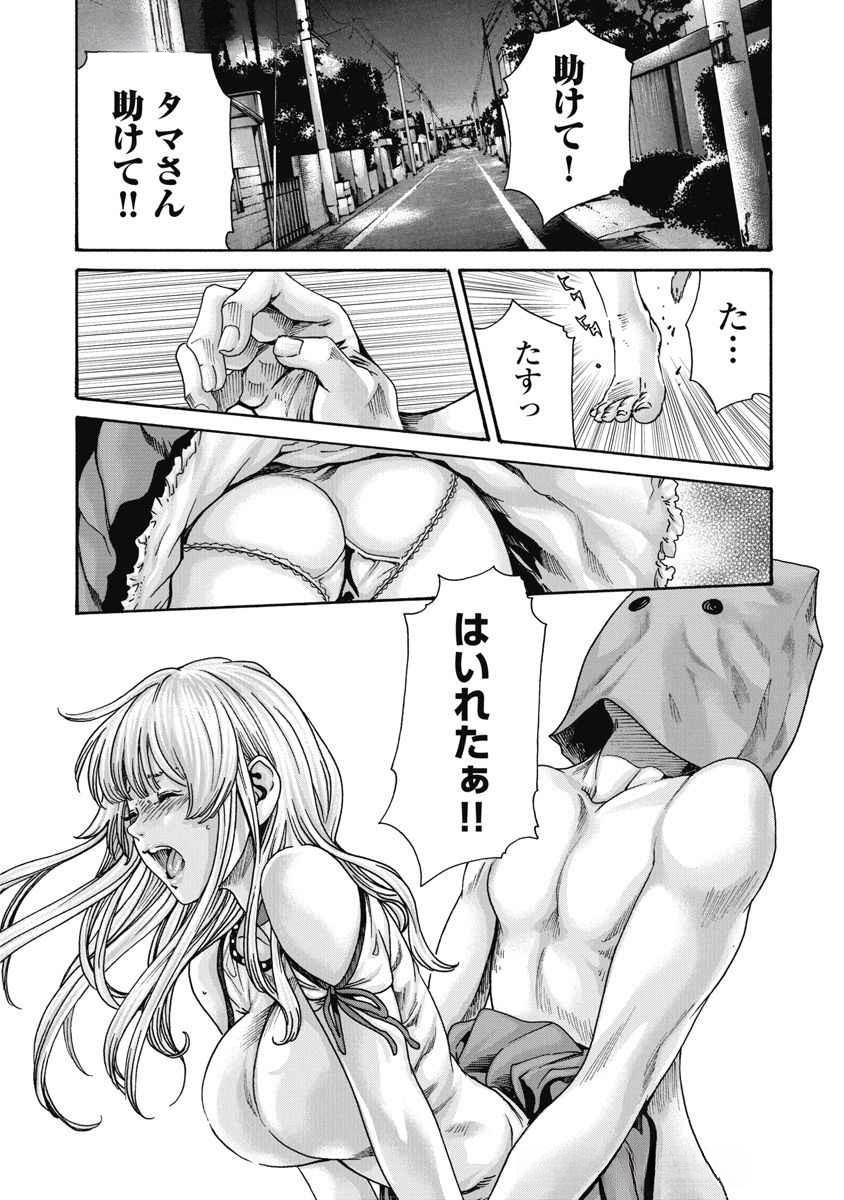 Teraumare Neko no Tama-san Chapter 4 3ページ
