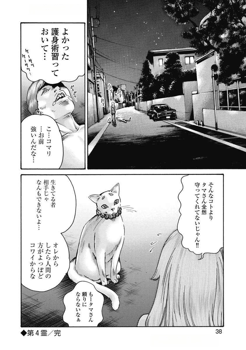 Teraumare Neko no Tama-san Chapter 4 8ページ