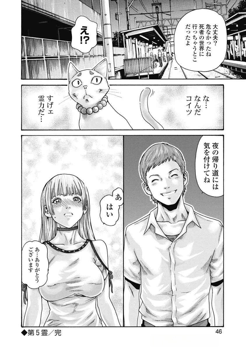 Teraumare Neko no Tama-san Chapter 5 8ページ