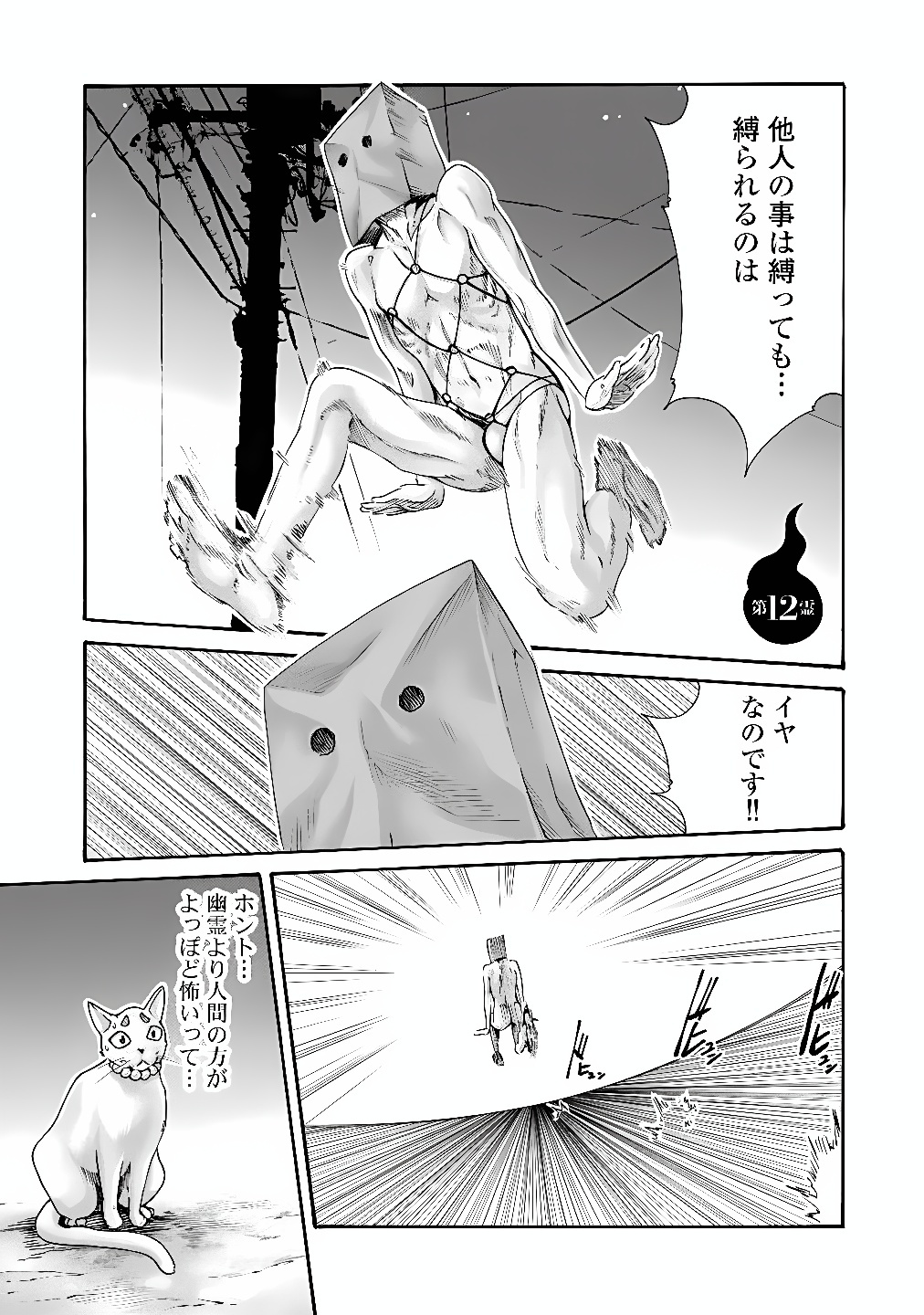 Teraumare Neko no Tama-san Chapter 12 1ページ