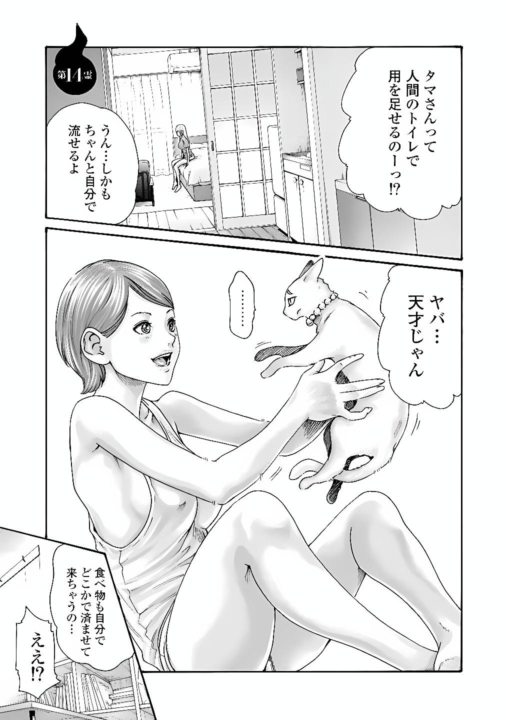 Teraumare Neko no Tama-san Chapter 14 1ページ