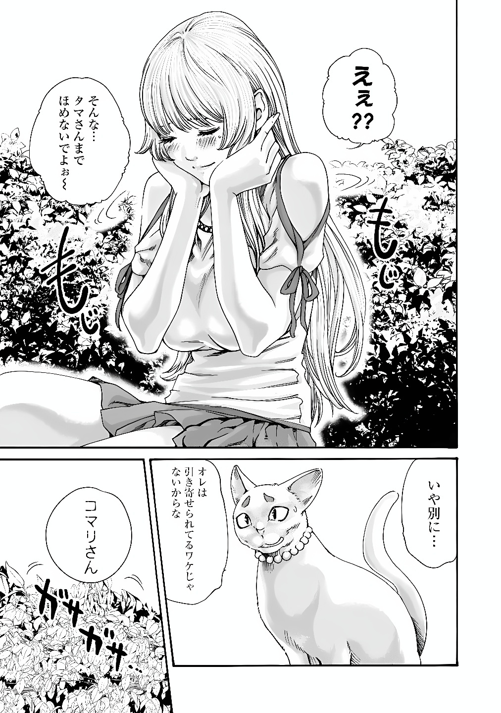 Teraumare Neko no Tama-san Chapter 18 3ページ