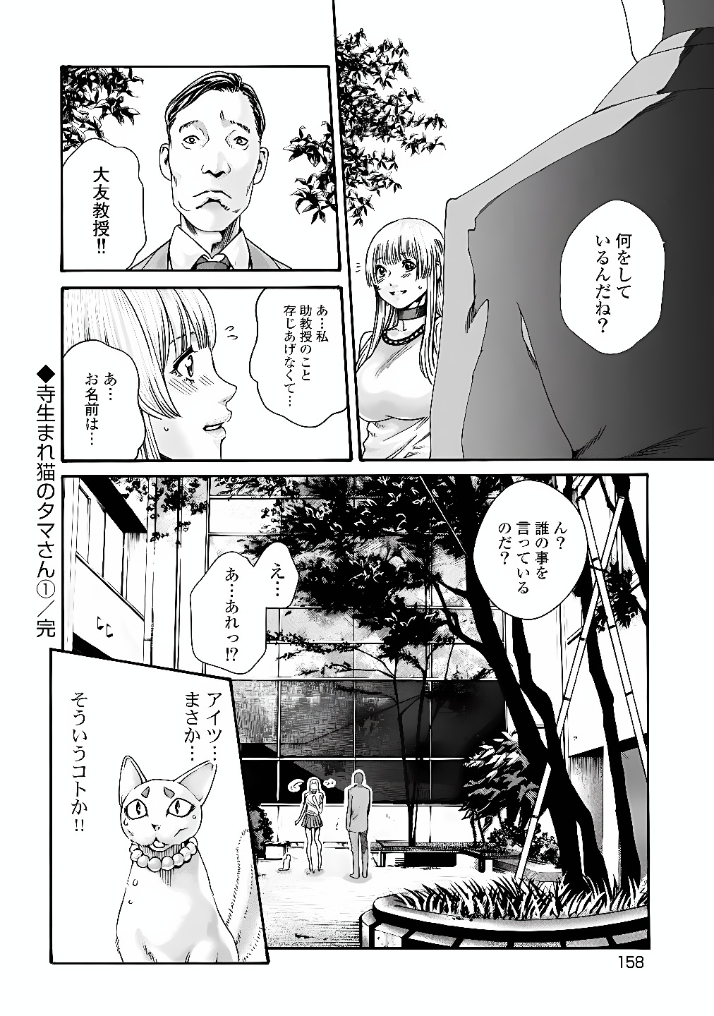 Teraumare Neko no Tama-san Chapter 18 8ページ