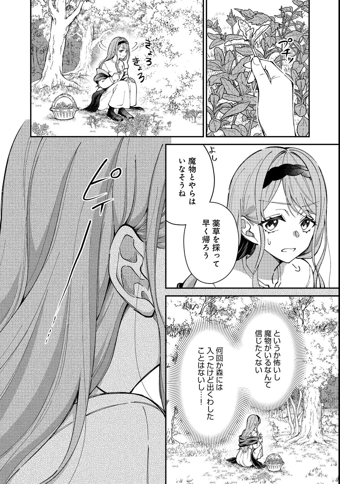 Henkyou no Majo to Shiroi Ryuu no Shiawase na Mori Kurashi Chapter 1 12ページ