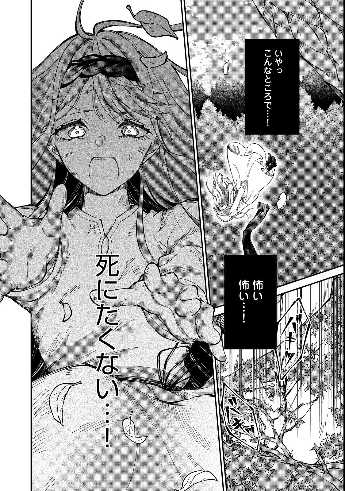 Henkyou no Majo to Shiroi Ryuu no Shiawase na Mori Kurashi Chapter 1 16ページ