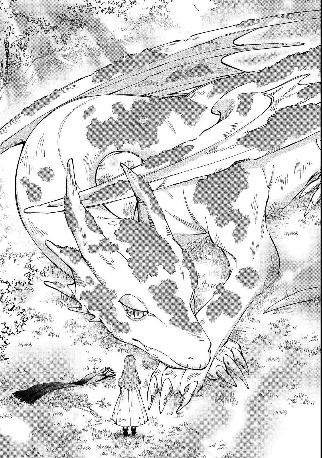 Henkyou no Majo to Shiroi Ryuu no Shiawase na Mori Kurashi Chapter 1 19ページ