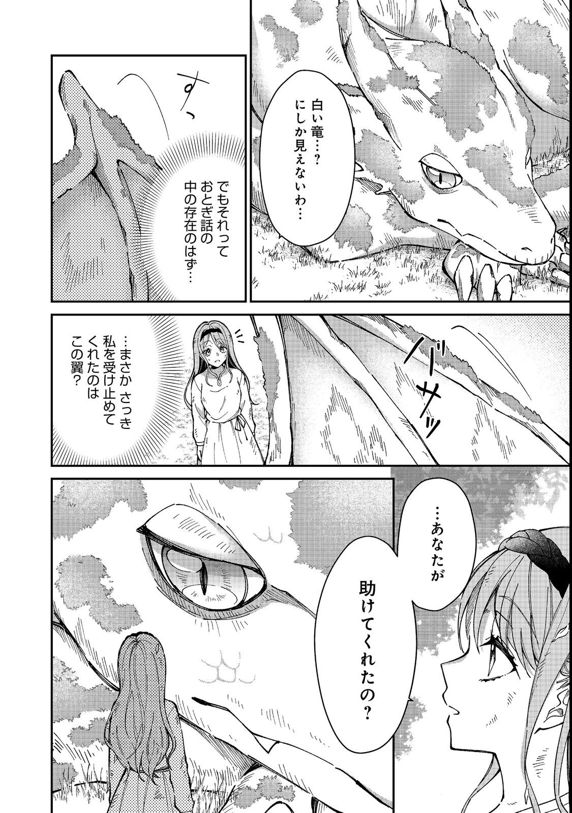 Henkyou no Majo to Shiroi Ryuu no Shiawase na Mori Kurashi Chapter 1 20ページ