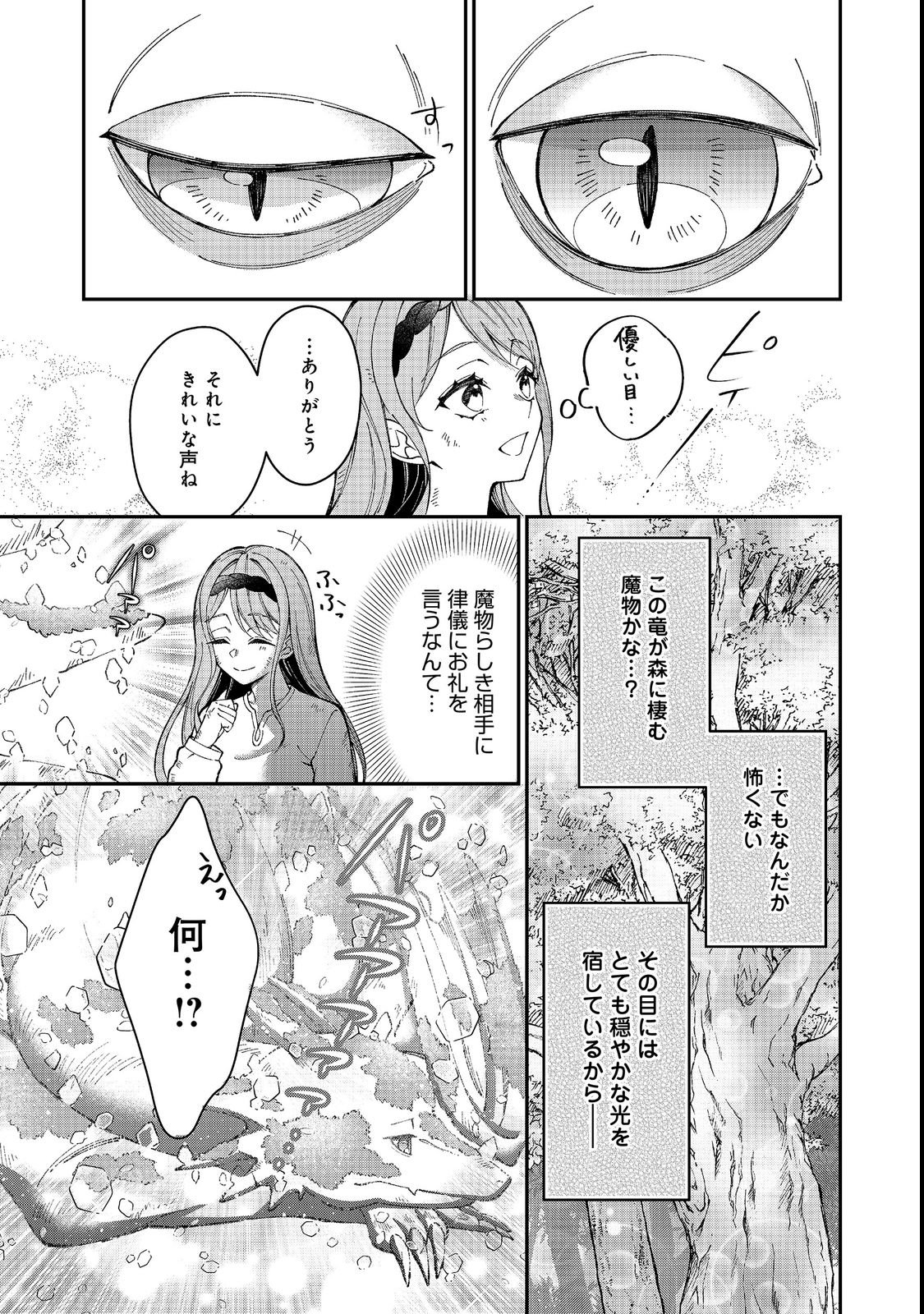 Henkyou no Majo to Shiroi Ryuu no Shiawase na Mori Kurashi Chapter 1 21ページ