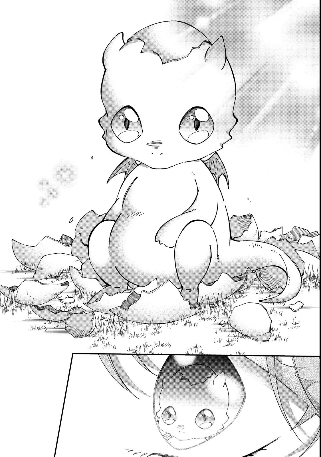 Henkyou no Majo to Shiroi Ryuu no Shiawase na Mori Kurashi Chapter 1 24ページ