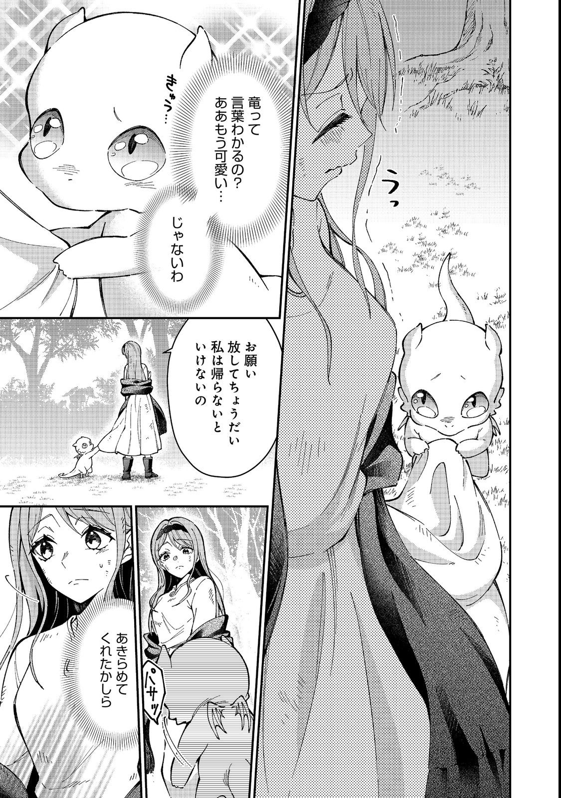 Henkyou no Majo to Shiroi Ryuu no Shiawase na Mori Kurashi Chapter 1 29ページ