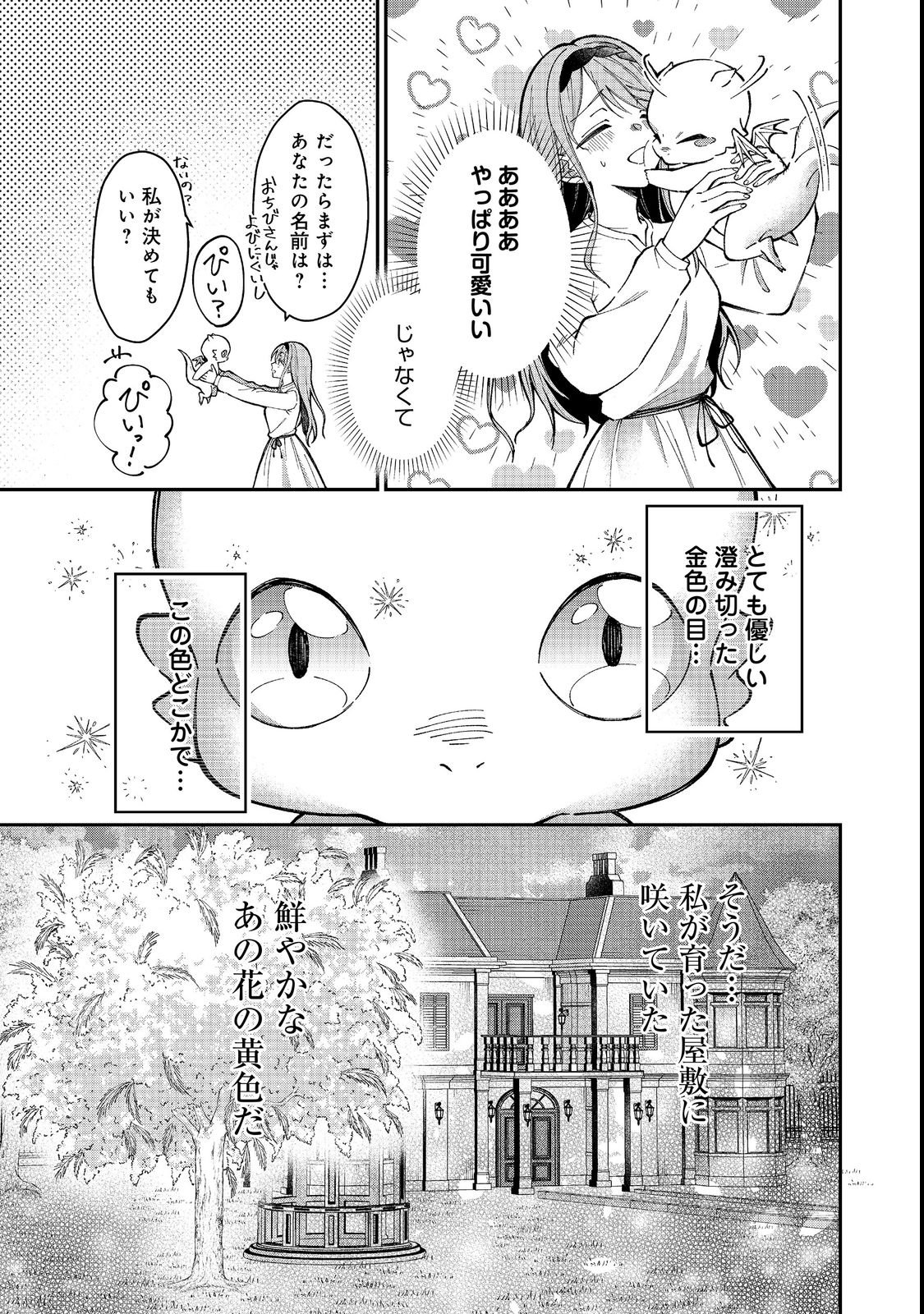 Henkyou no Majo to Shiroi Ryuu no Shiawase na Mori Kurashi Chapter 1 37ページ