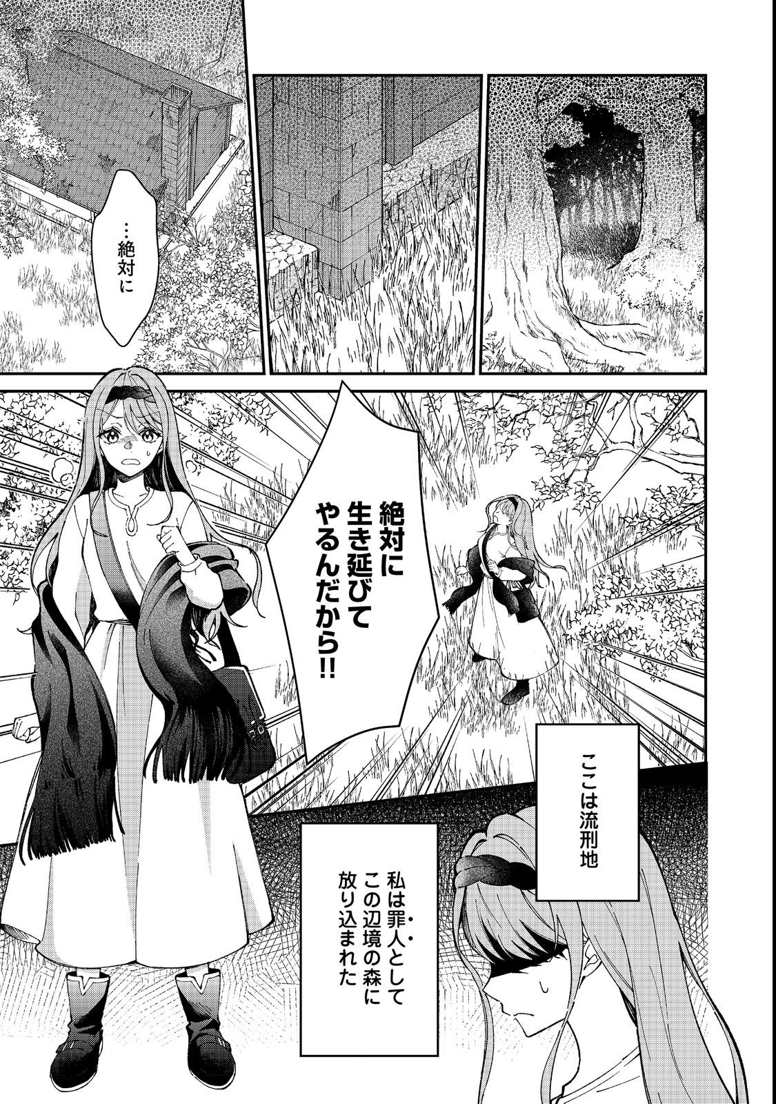 Henkyou no Majo to Shiroi Ryuu no Shiawase na Mori Kurashi Chapter 1 5ページ