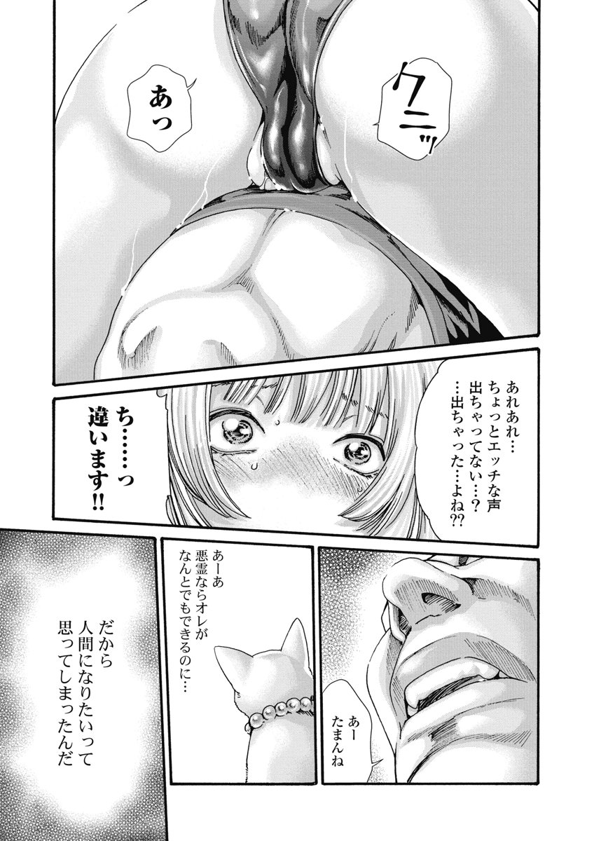 Teraumare Neko no Tama-san Chapter 19 5ページ