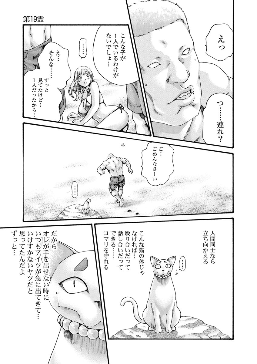 Teraumare Neko no Tama-san Chapter 19 7ページ