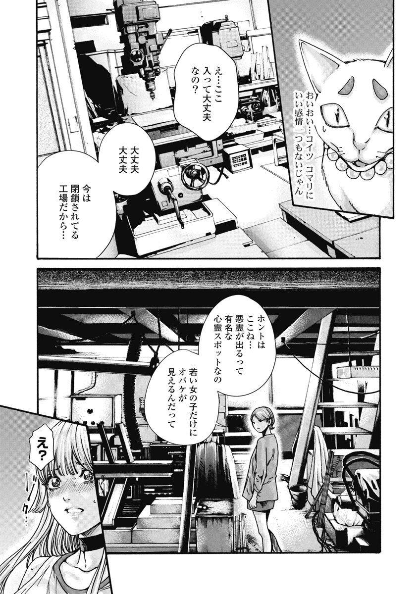 Teraumare Neko no Tama-san Chapter 21 3ページ