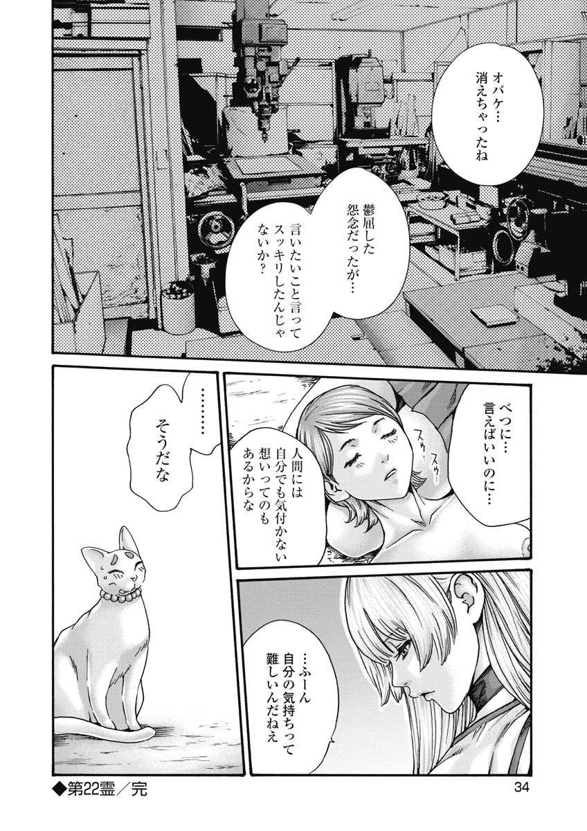 Teraumare Neko no Tama-san Chapter 22 8ページ