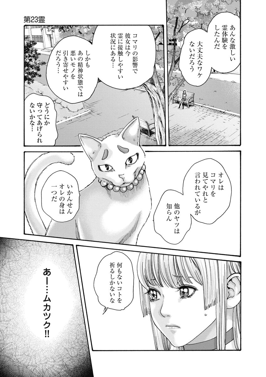 Teraumare Neko no Tama-san Chapter 23 3ページ