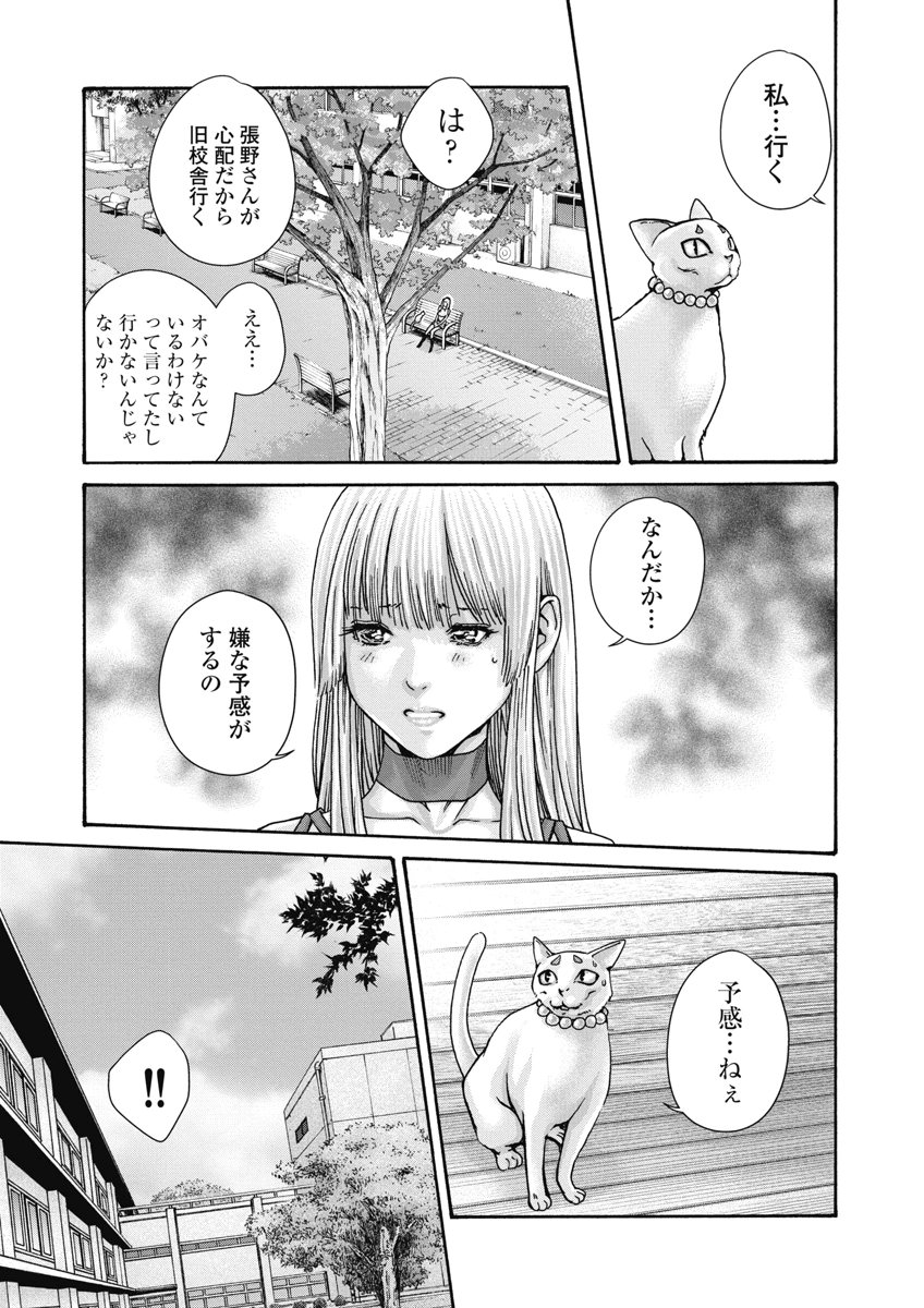 Teraumare Neko no Tama-san Chapter 24 3ページ