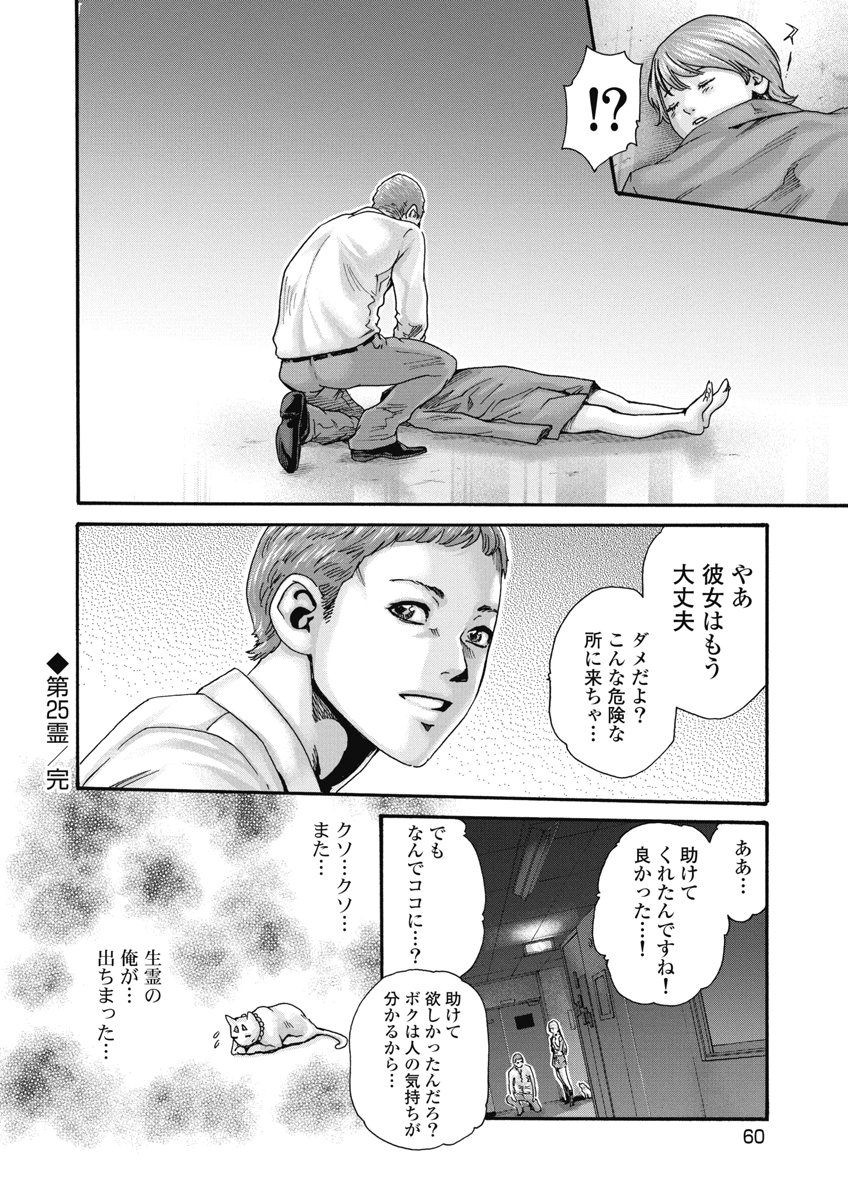 Teraumare Neko no Tama-san Chapter 25 8ページ