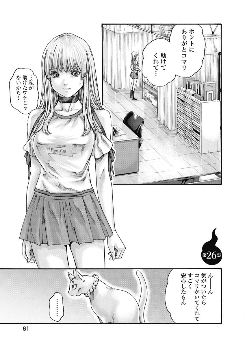 Teraumare Neko no Tama-san Chapter 26 1ページ