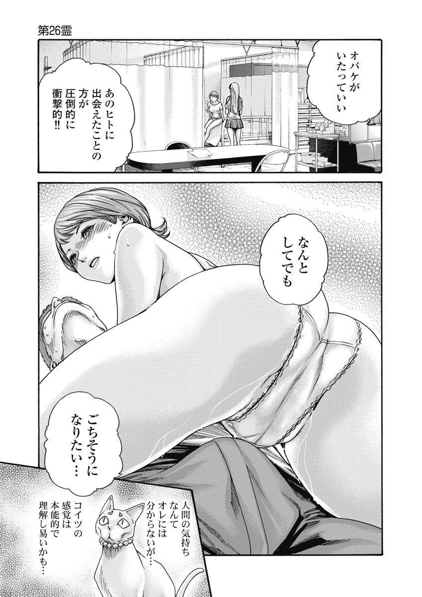 Teraumare Neko no Tama-san Chapter 26 5ページ
