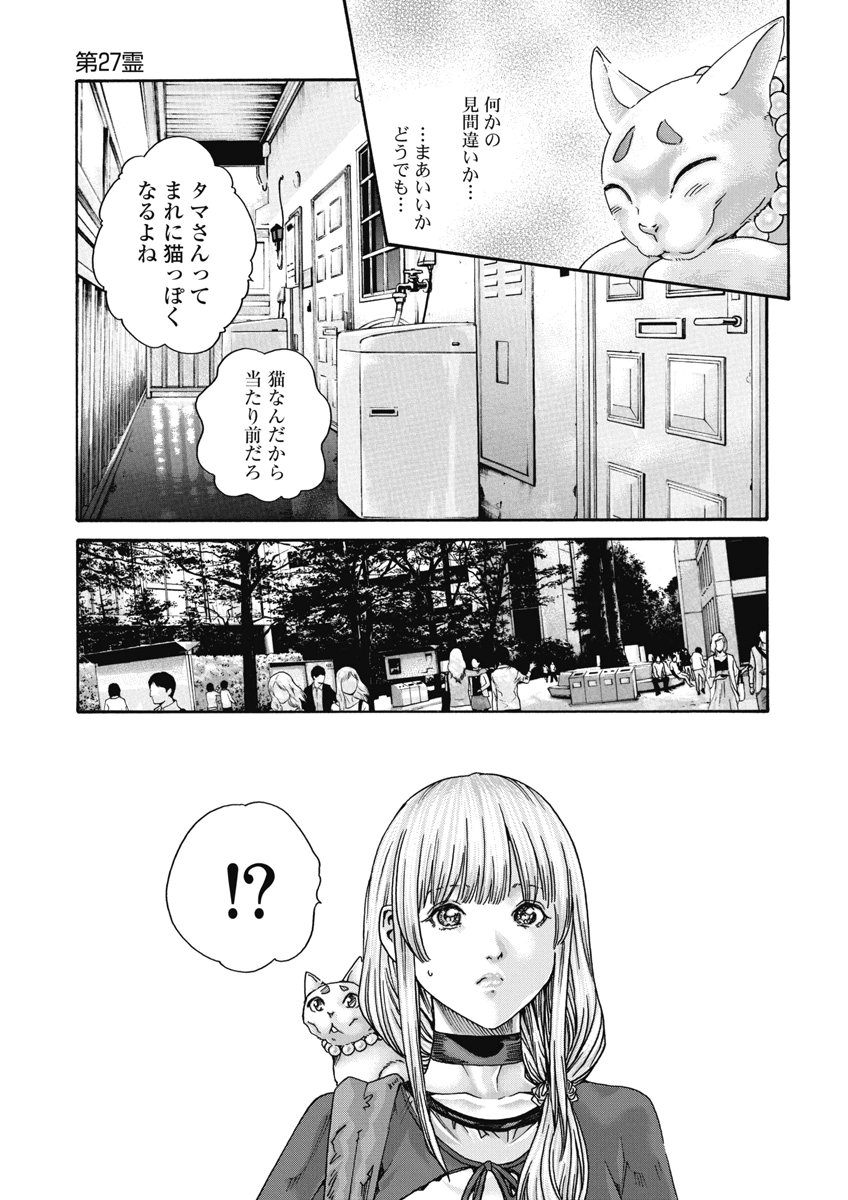 Teraumare Neko no Tama-san Chapter 27 3ページ