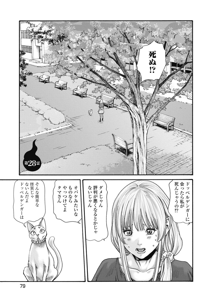 Teraumare Neko no Tama-san Chapter 28 1ページ