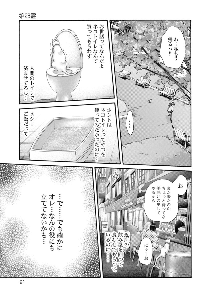 Teraumare Neko no Tama-san Chapter 28 3ページ