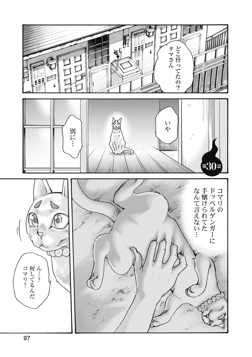 Teraumare Neko no Tama-san Chapter 30 1ページ