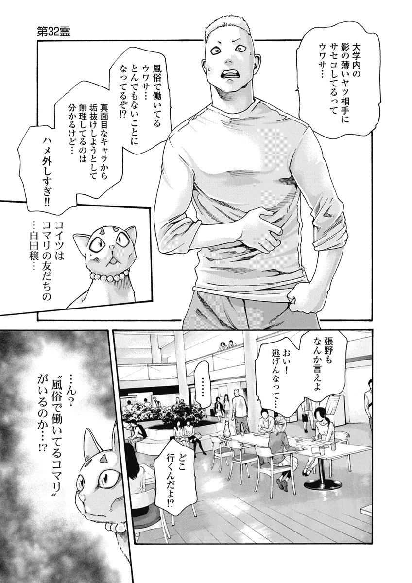 Teraumare Neko no Tama-san Chapter 32 3ページ