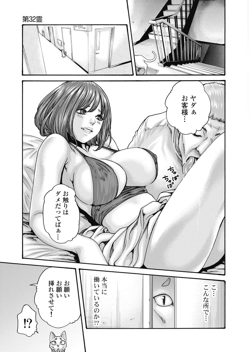 Teraumare Neko no Tama-san Chapter 32 5ページ