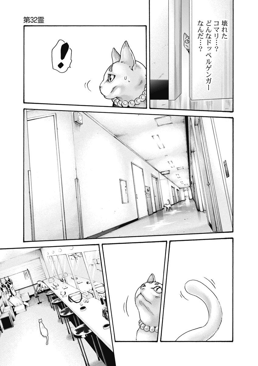 Teraumare Neko no Tama-san Chapter 32 7ページ